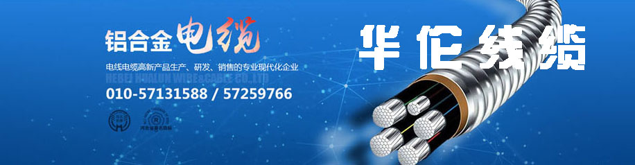 滄州市統(tǒng)計工作規(guī)范化建設(shè)推進會在華倫公司順利召開！