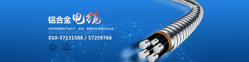 滄州市統(tǒng)計工作規(guī)范化建設推進會在華倫公司順利召開！